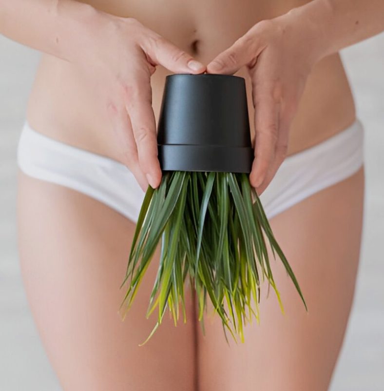 Brazilian Wax in Orange Park, FL